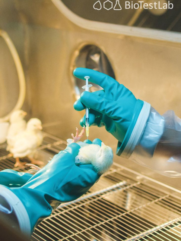 Виробництво