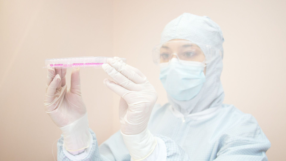 R&D and quality control departments