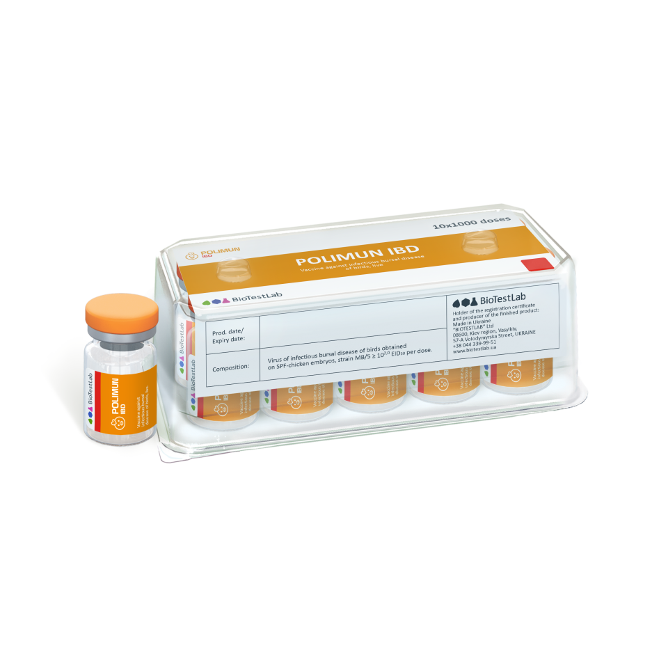 POLIMUN IBD