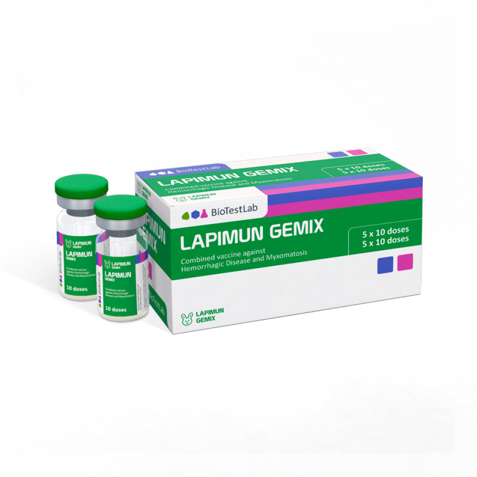 LAPIMUN GEMIX